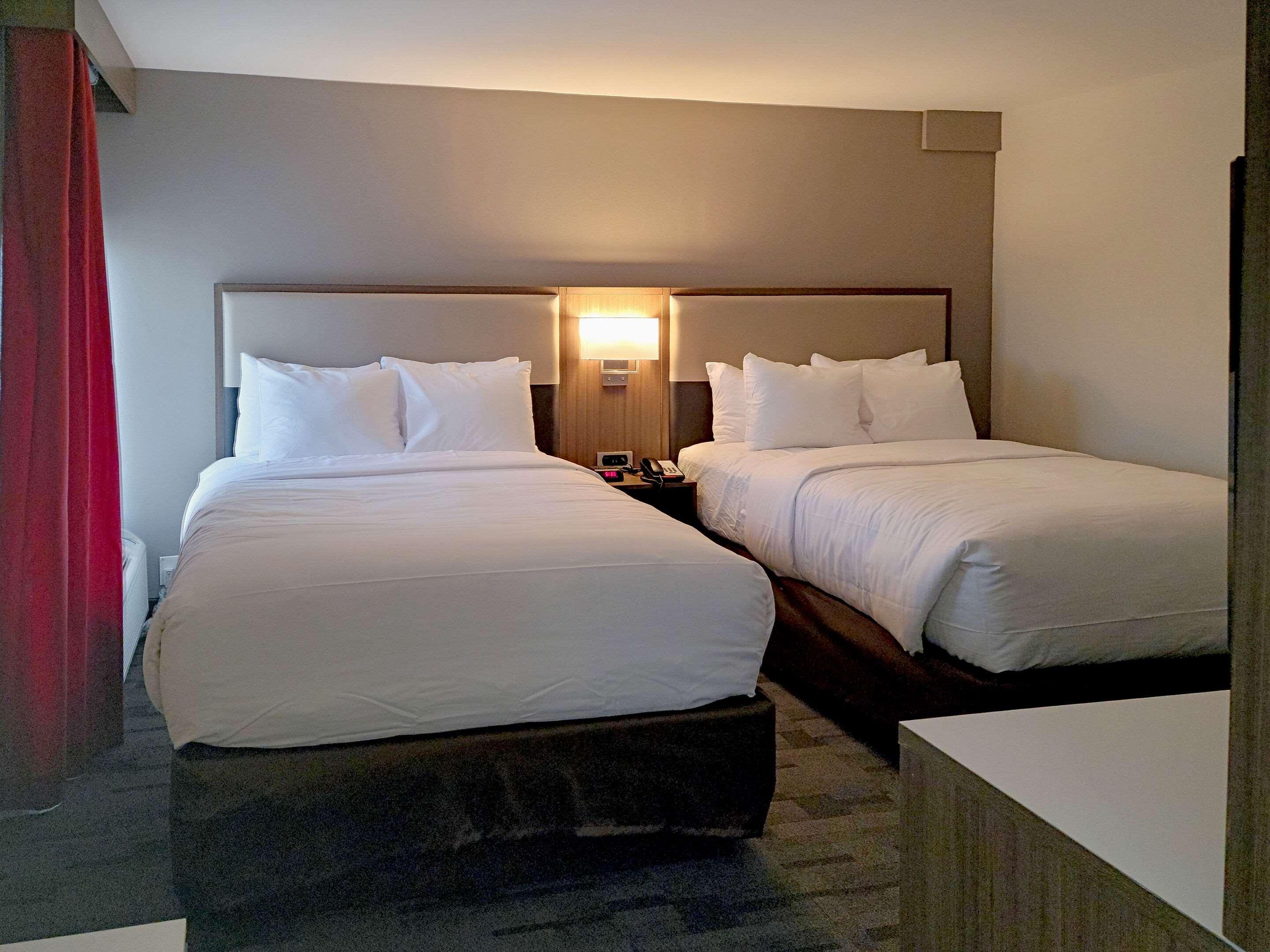 Comfort Inn & Suites Wyomissing-Reading Dış mekan fotoğraf